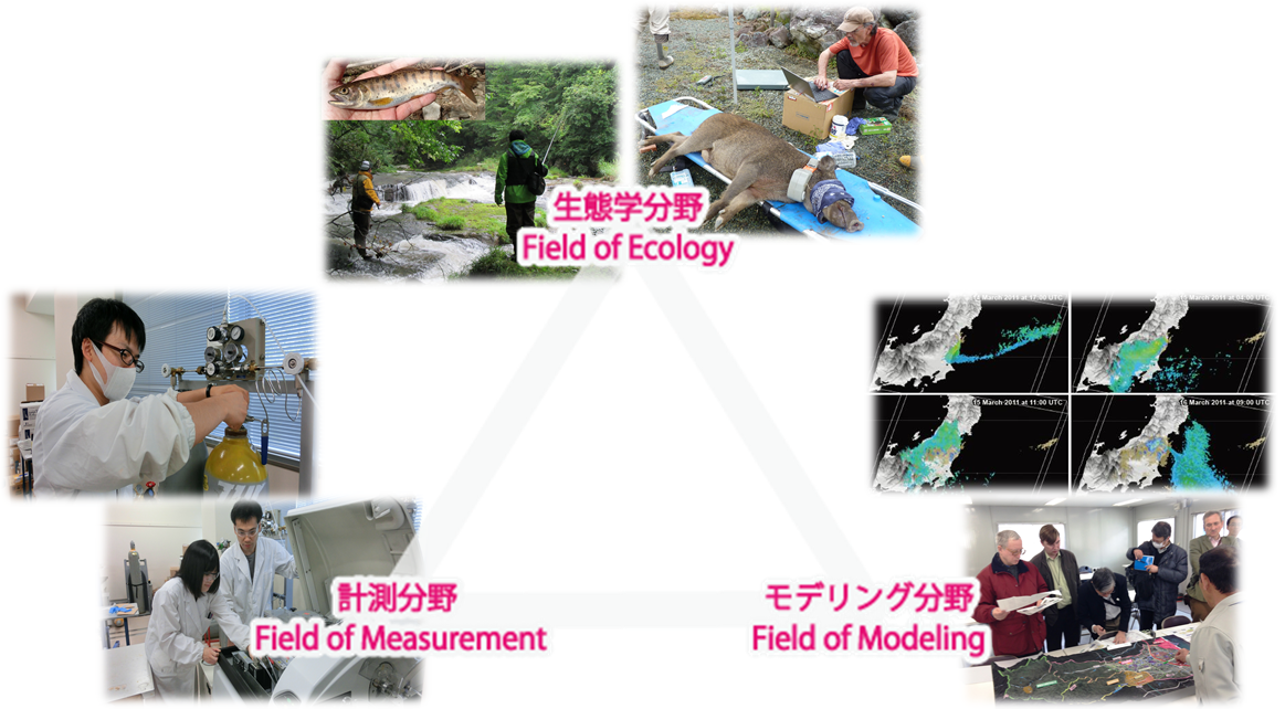Major in Environmental Radioactivity