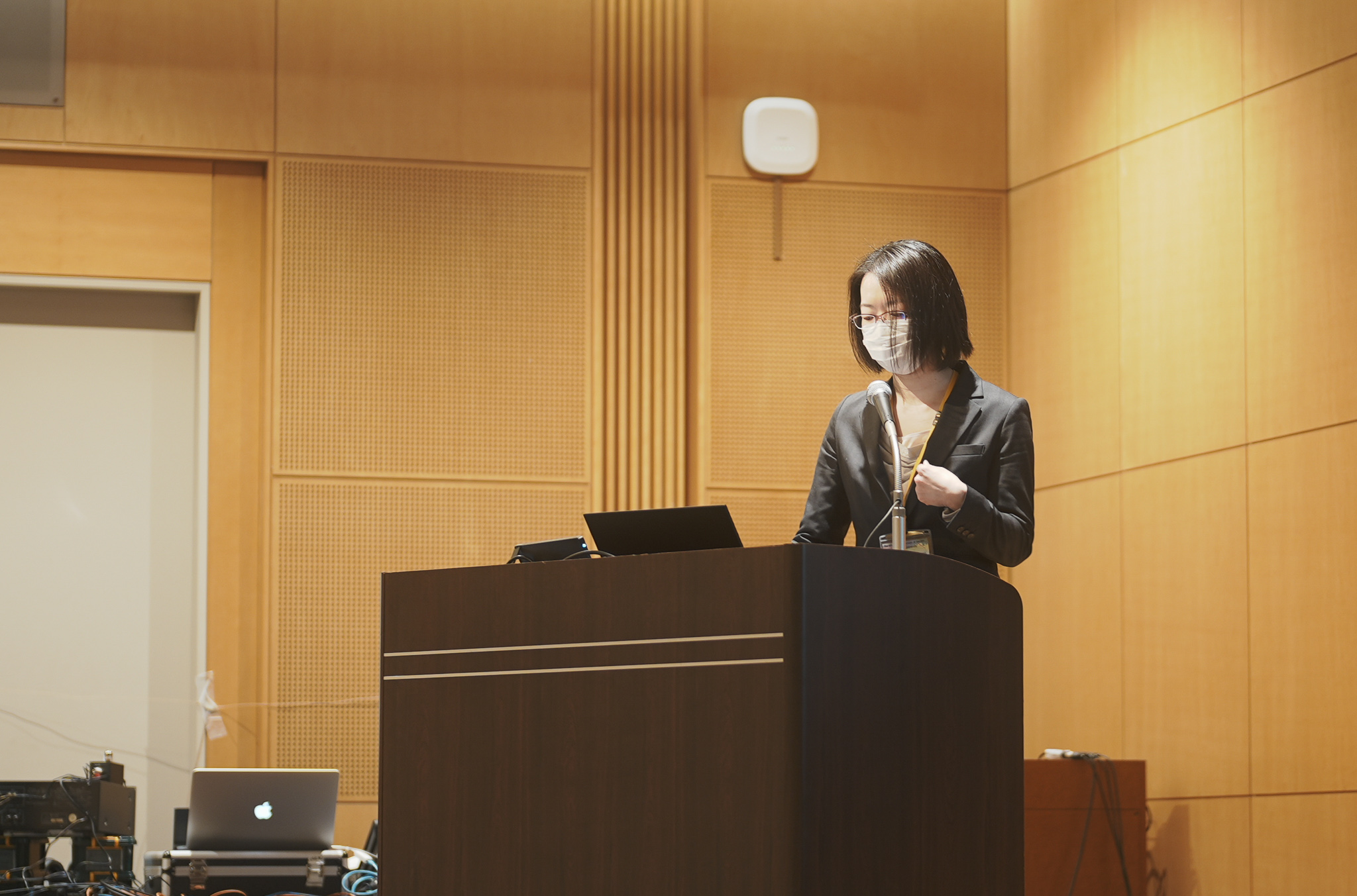 Prof. Ishiniwa <br> giving a presentation