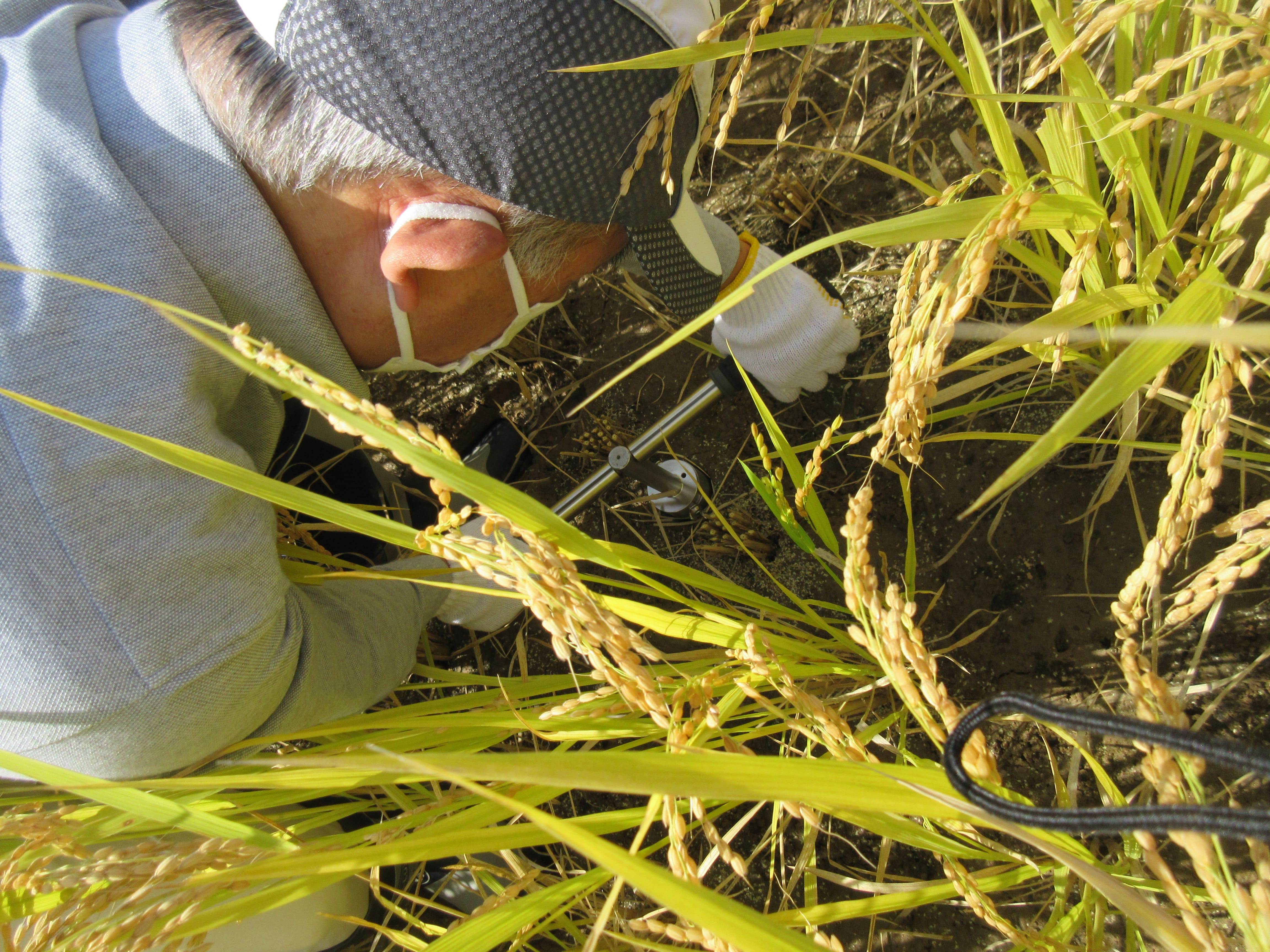 Digging with a soil sampler