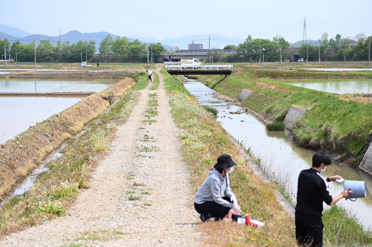 調査中の様子