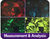 Measurement & Analysis