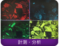 計測・分析