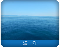 海洋