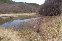 河川・湖沼2