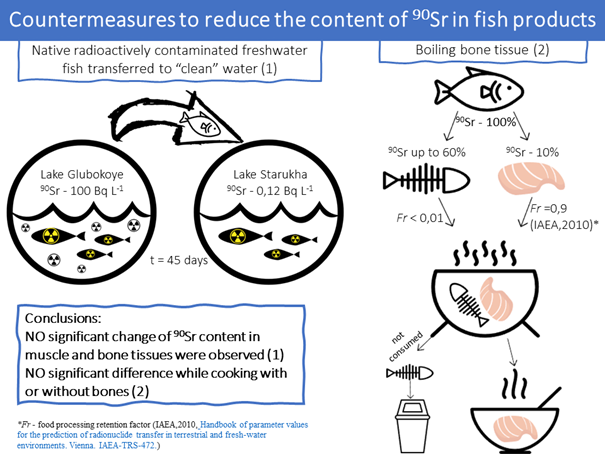 Testing countermeasures to reduce ⁹⁰Sr content in fish products ...